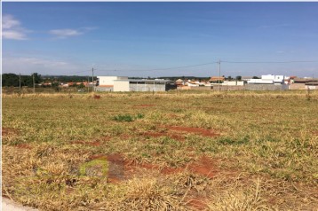 Lote - setor Aeroporto II
